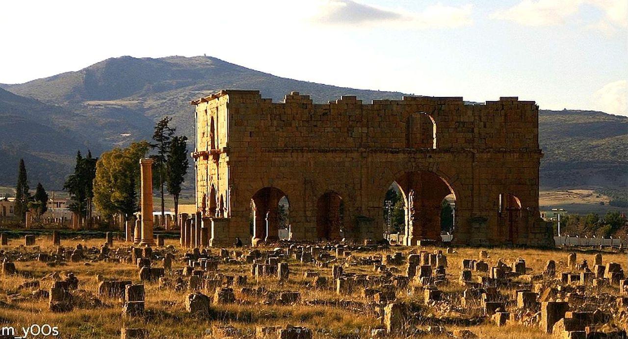 ALGERIE-RUINES ROMAINES DE LAMBESE (23).jpg